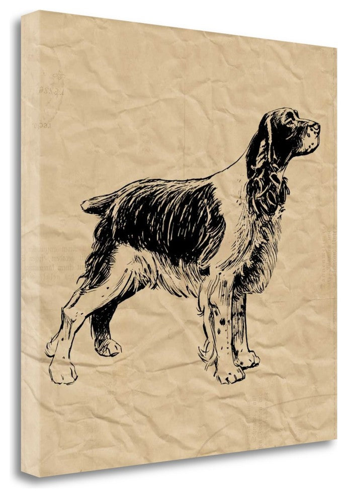 "Spaniel" By Sabine Berg, Giclee Print on Gallery Wrap Canvas, Ready to Hang
