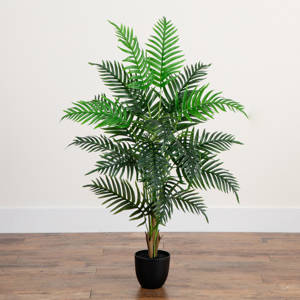 Full plant in a lifestyle setting (room/house) showing context.