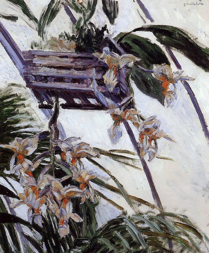Gustave Caillebotte Orchids, 20"x25" Wall Decal Print