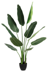 Safavieh Faux Banana 63" Potted Leaves