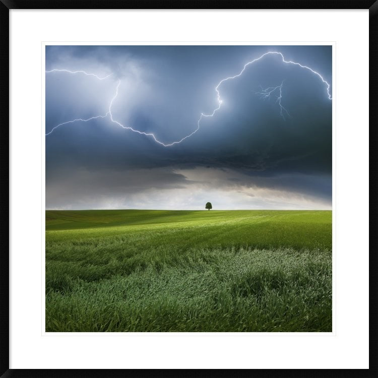 "Someplace In Summer" Framed Digital Print by Franz Schumacher, 32"x32"