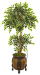 59" Variegated Ficus Artificial Tree in Decorative Planter