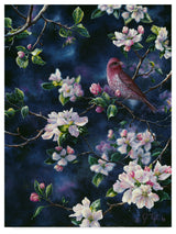 Jeff Tift 'Bird' Canvas Art, 47"x35"