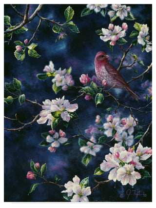 Jeff Tift 'Bird' Canvas Art, 47"x35"