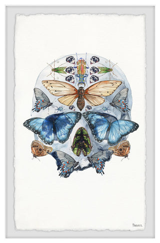 "Half Butterfly Skull" Framed Painting Print, 24"x36"