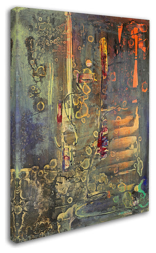 Pat Saunders-White 'Into The Dark' Canvas Art, 35"x47"