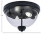 12" 2-Light Flush Mount Light, Matte Black, Clear Bubble Glass