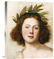 "Head of Apollo" Stretched Canvas Giclee by Girolamo Forabosco, 18"x22"