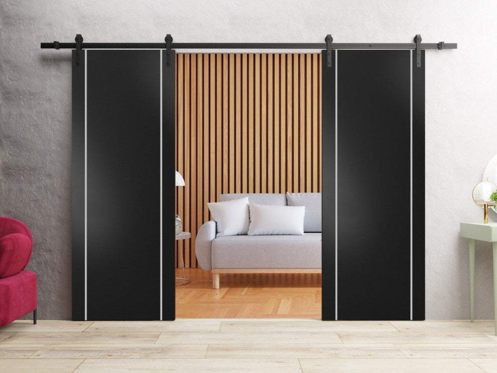 Sturdy Double Barn Door 48 x 96 with | Planum 0410 Matte Black with  | 13FT