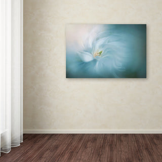 Jacky Parker 'Serene' Canvas Art, 32 x 22