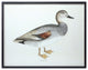 Framed Bird Print, 5-Piece Set