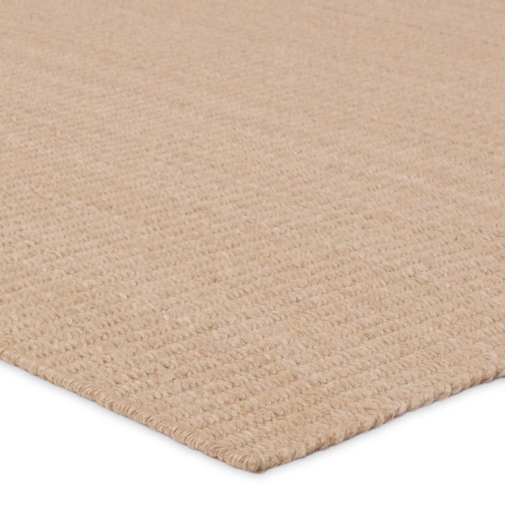 Jaipur Living Facet Handmade Indoor/Outdoor Solid Tan Area Rug 2'X3'