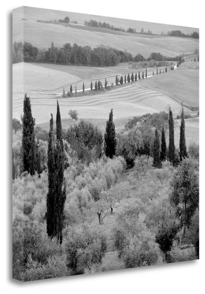 "Tuscany - 6" By Alan Blaustein, Giclee Print on Gallery Wrap Canvas