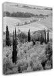 "Tuscany - 6" By Alan Blaustein, Giclee Print on Gallery Wrap Canvas