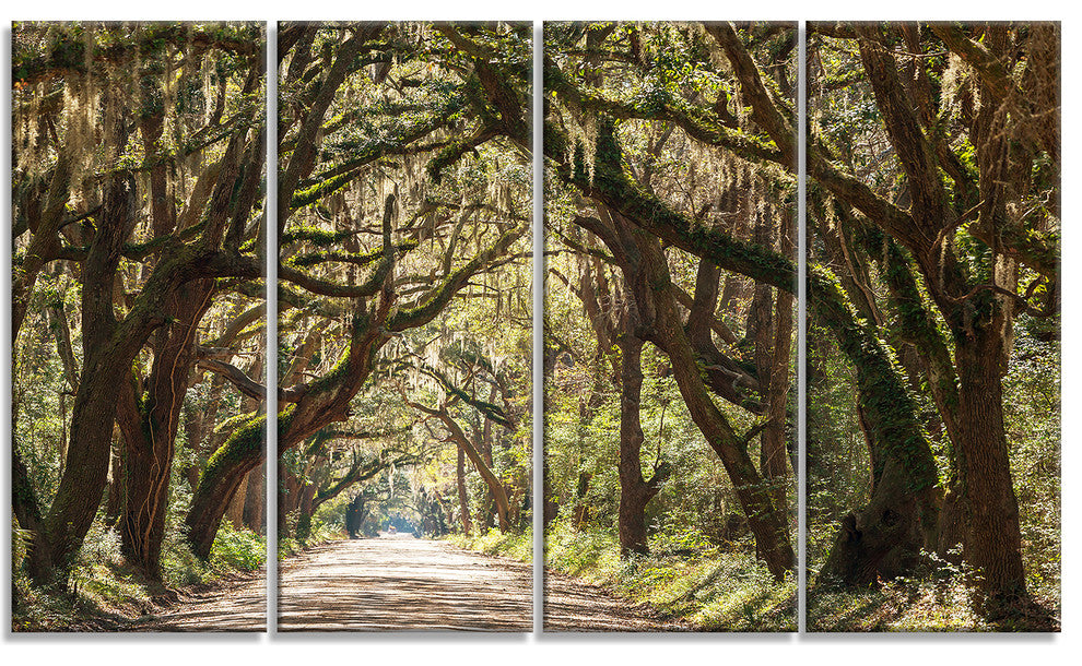 Trees Tunnel in Botany Bay, Landscape Wall Art on Canvas, 48"x28", 4 Panels