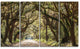 Trees Tunnel in Botany Bay, Landscape Wall Art on Canvas, 48"x28", 4 Panels