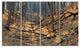 Thick Autumn Forest Panorama, Landscape Canvas Art Print, 48"x28", 4 Panels