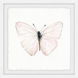 "Translucent Pink Wings" Framed Painting Print, 12"x12"