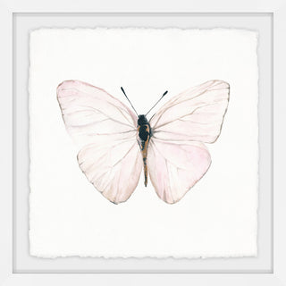 "Translucent Pink Wings" Framed Painting Print, 12"x12"
