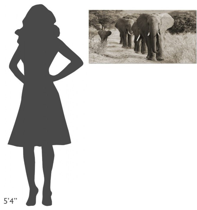"Herd of African Elephants, Kenya" Stretched Canvas Giclee by Anonymous, 36x18"