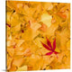 "Outside the Yellow" Wrapped Canvas Art Print, 16"x16"x1.5"