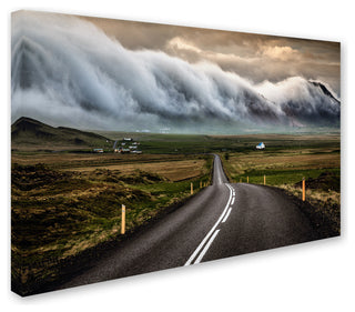 Sus Bogaerts 'Road' Canvas Art, 47x30