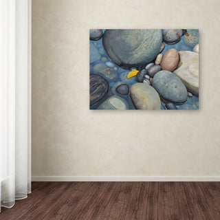'Reflections on a Gray Day' Canvas Art by Stephen Stavast