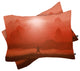 Deny Designs Viviana Gonzalez Naturaleza Y Luz II Pillowcase