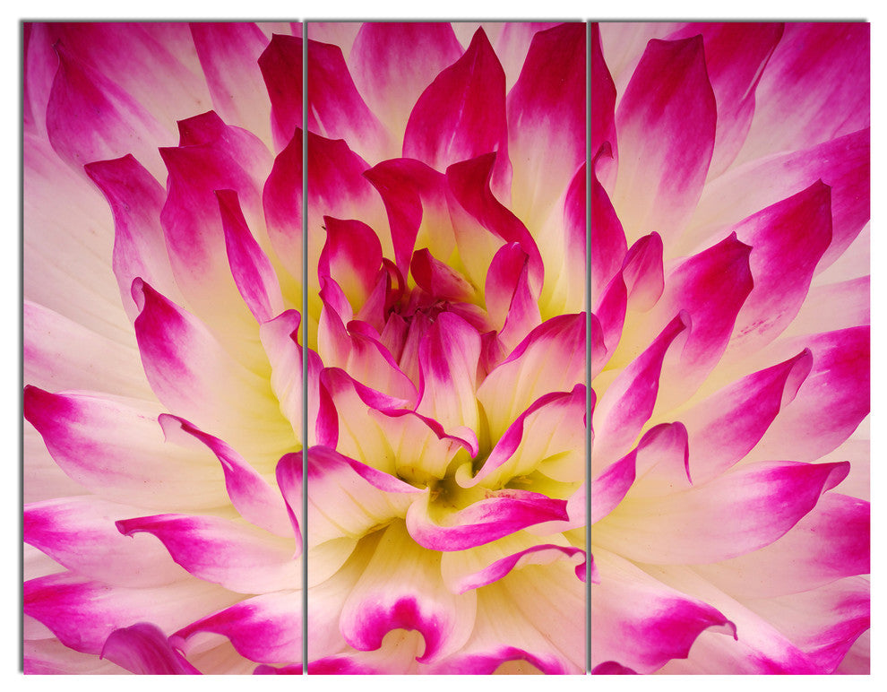 Smooth Purple White Flower Petals, Floral Triptych Canvas Print, 36x28, 3 Panels
