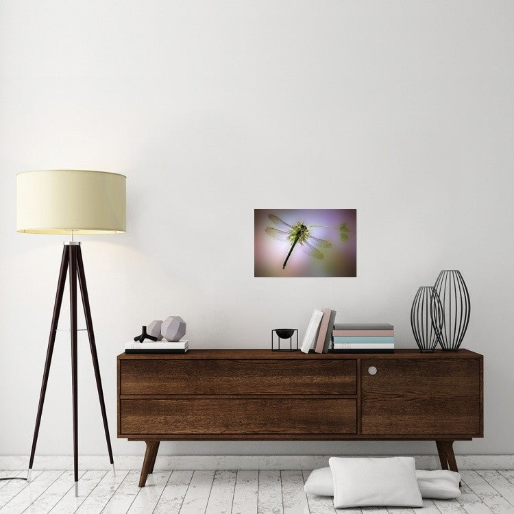 "Green Dragonfly" Stretched Canvas Giclee by Jimmy Hoffman, 24"x16"