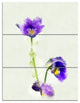 Purple Liverleaf Flower Watercolor, Floral Triptych Canvas Art, 28x36, 3 Panels