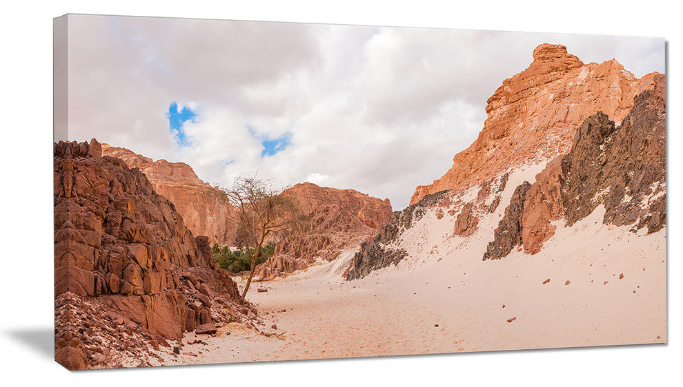 "Fantastic Panorama of White Canyon" Wall Art Landscape, 40"x20"