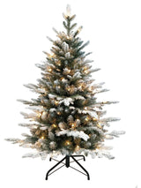 Kurt Adler 4' Pre-Lit Clear Incandescent Frosted Pine Tree