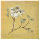 "Dogwood Blossom on Gold" Digital Paper Print by Cheri Blum, 20"x20"