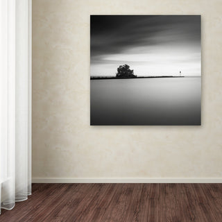 'Erieau 2' Canvas Art by Dave MacVicar