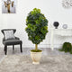 5' Schefflera Artificial Tree, Decorative Urn, Real Touch