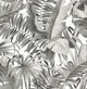 Alfresco Black Palm Leaf Wallpaper Bolt