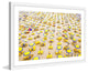 "Yellow Umbrellas" Framed Painting Print
