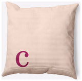 18" x 18" Modern Monogram Indoor/Outdoor Polyester Throw Pillow, Dusty Rose