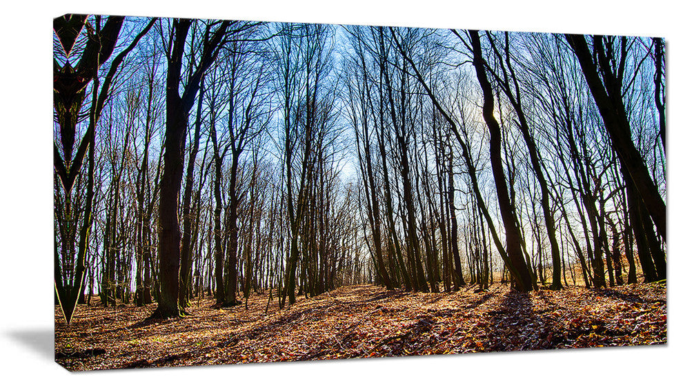 Dark Trees in Forest at Sunrise, Forest Canvas Art Print, 32"x16"