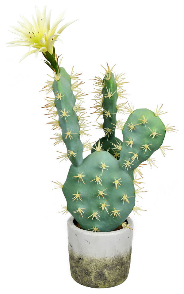 Vickerman FH192501 18" Artificial Green Cactus in Cement Pot