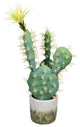 Vickerman FH192501 18" Artificial Green Cactus in Cement Pot
