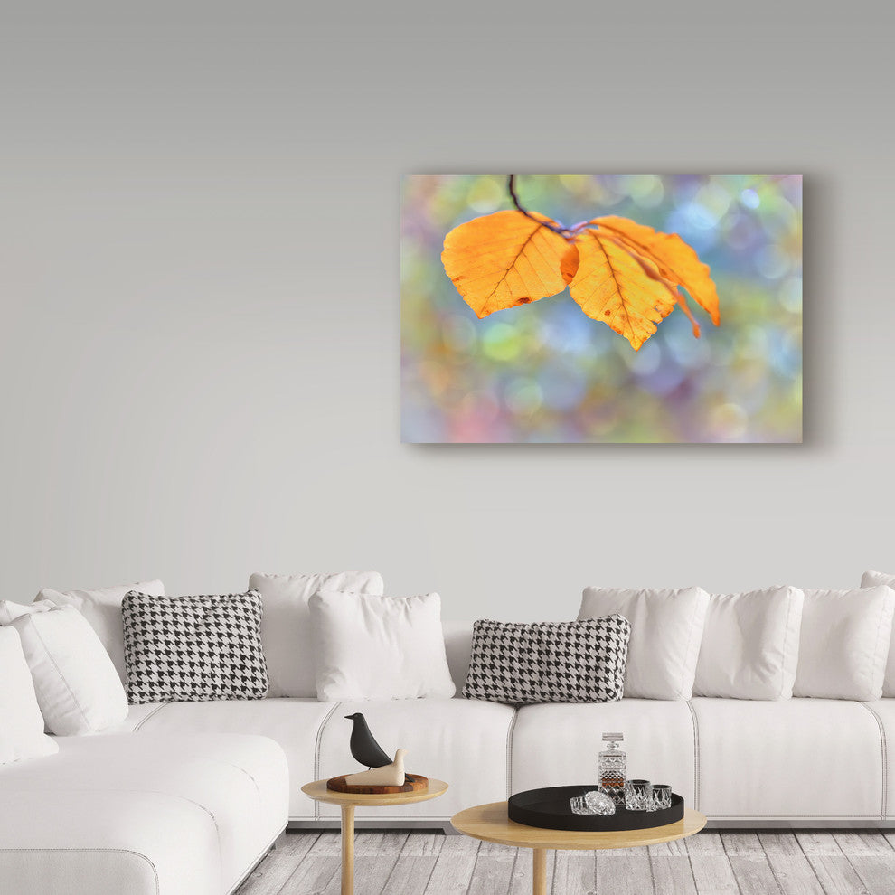 "Beech Leaves" by Cora Niele, Canvas Art, 30"x47"