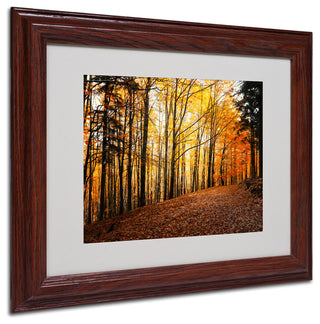 'Autumn Leaves Pathway' Matted Framed Canvas Art by Philippe Sainte-Laudy