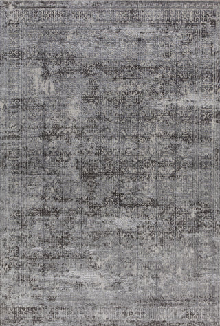 Torino 3314-190 Area Rug, Light Gray, 3'11"x5'7"