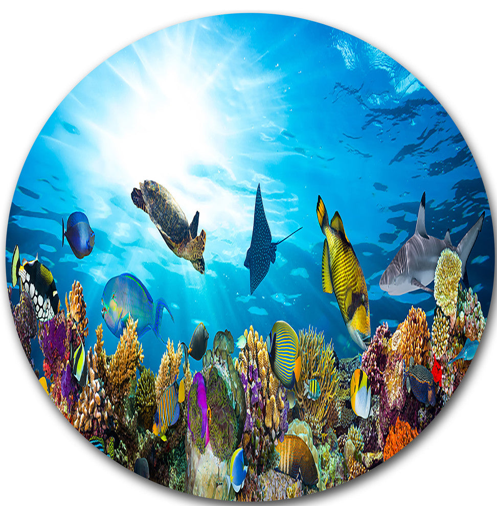 Colorful Coral Reef With Fishes, Seascape Photo Round Wall Art, 36"