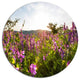 Amazing Summer Pasture With Flowers, Flower Round Metal Wall Art, 23"