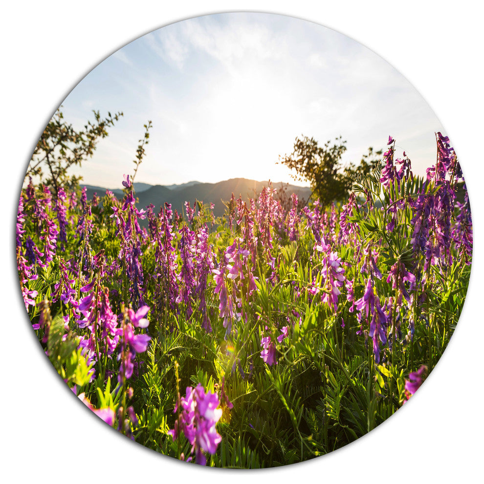 Amazing Summer Pasture With Flowers, Flower Round Metal Wall Art, 23"