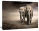Elephant Pair in Motion, Animal Canvas Wall Art, 40"x30"