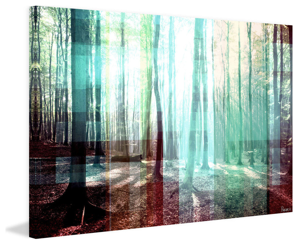 "Tree Rays" Fine Art Canvas Print, 24"x16"